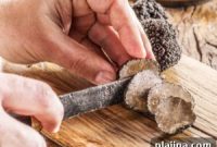 Wild Food Experiences: Foraging, Wild Cooking & Nature Dining