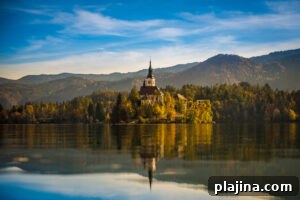 img 185899 3