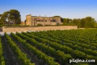 Varvaglione Family Transforms Puglian Wine Tradition
