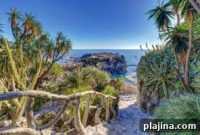 Monaco’s Exotic Garden Reopens After Six-Year Renovation