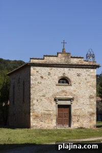 img 186136 1