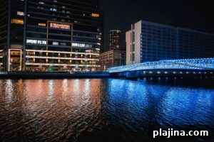 Night view of Reimei Kobashi footbridge