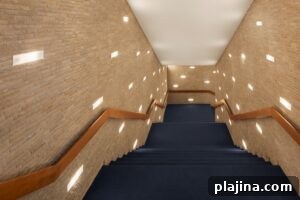 img 186508 3