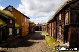 Røros