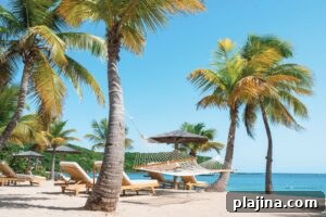 Beachfront at The Inn