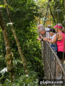 Approach Tours culinary cruise