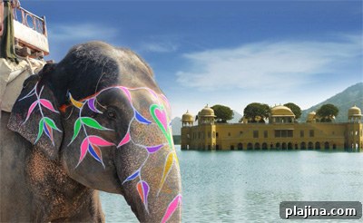 A colorful elephant with Jal Mahal Water Palace in the background