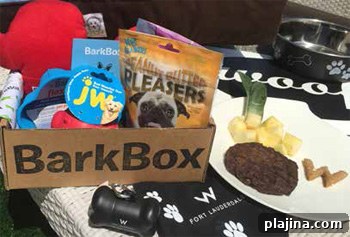 W Fort Lauderdale's in-room Bark Box
