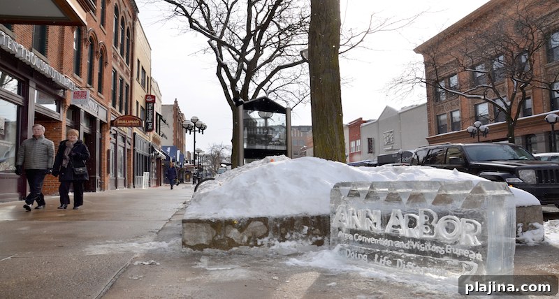 Ann Arbor, Mich