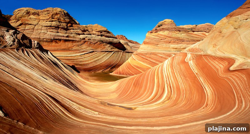 The Wave, Coyote Butts, Ariz. and Utah