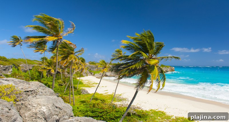 Caribbean