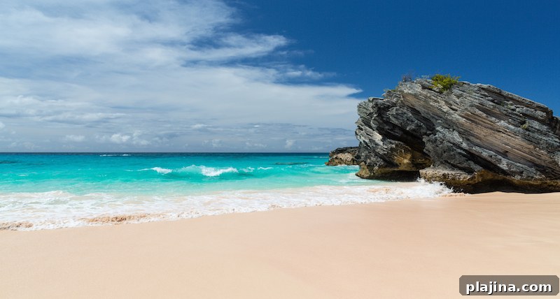 Caribbean