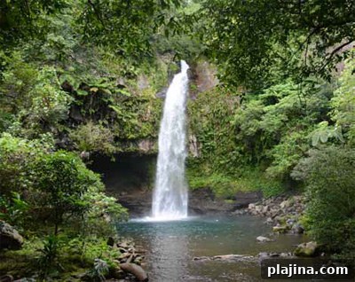 A waterfall in the rainforest of Taveuni