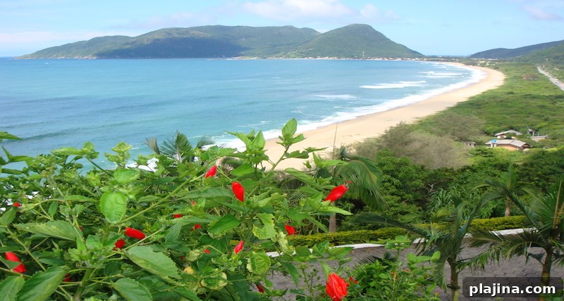 Florianopolis