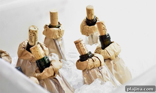Wines on the Wing 2016