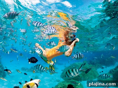 Paul Gauguin Cruises