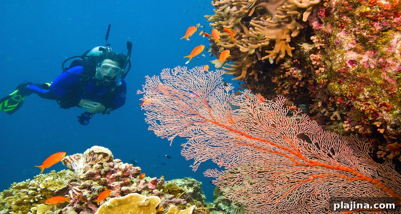 Scuba Diving