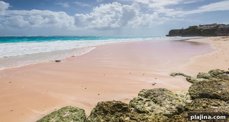 Crane Beach, Barbados
