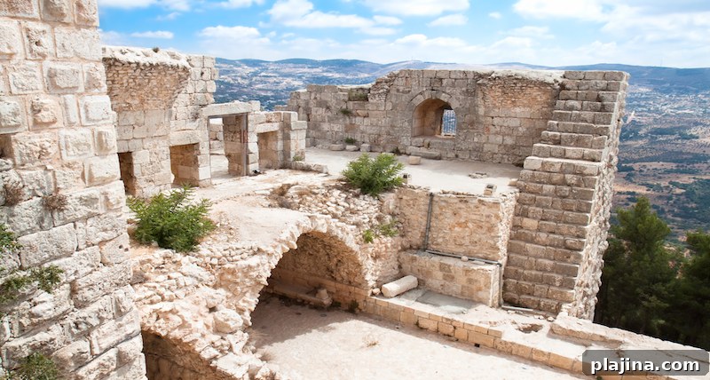 Ajloun Castle