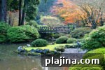 img 77899 14