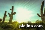 img 77899 15
