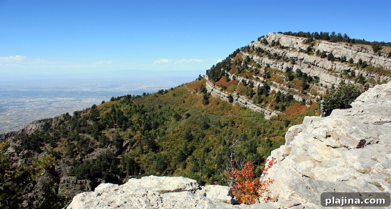 Albuquerque