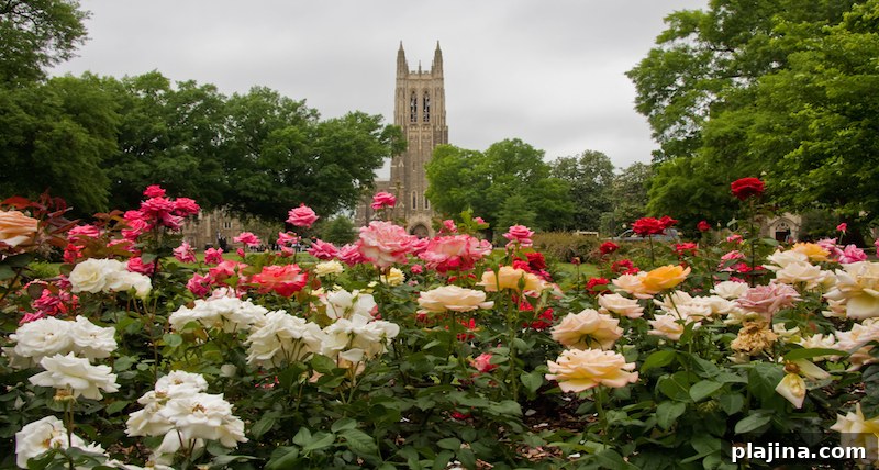 Durham