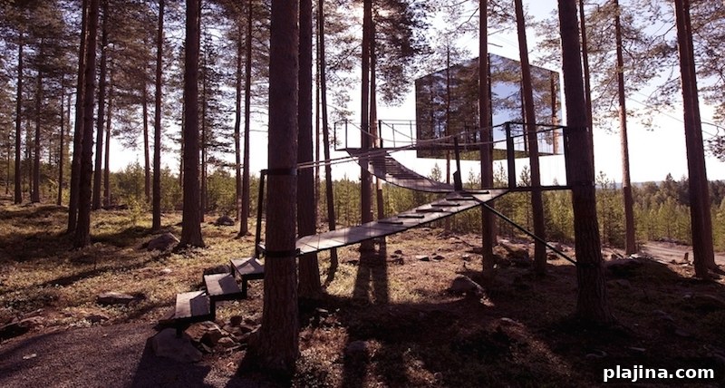 Tree Hotel