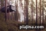 Top Treehouse Hotels for a Unique Night Away 11 img 78137 10