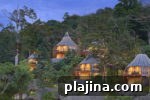 Top Treehouse Hotels for a Unique Night Away 14 img 78137 13