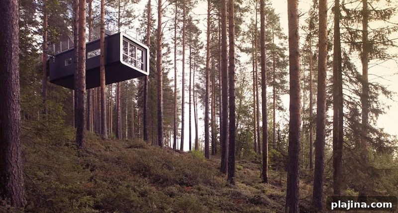 Tree Hotel