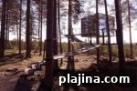 Top Treehouse Hotels for a Unique Night Away 10 img 78137 9