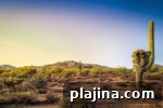 Most Stunning U.S. National Parks to Visit This Year 16 img 78265 15