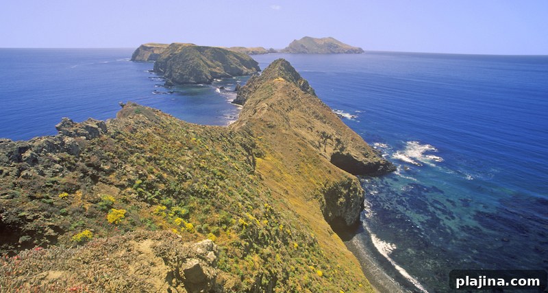 Channel Islands