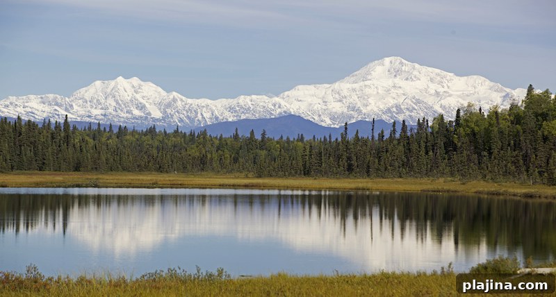 Denali National Park