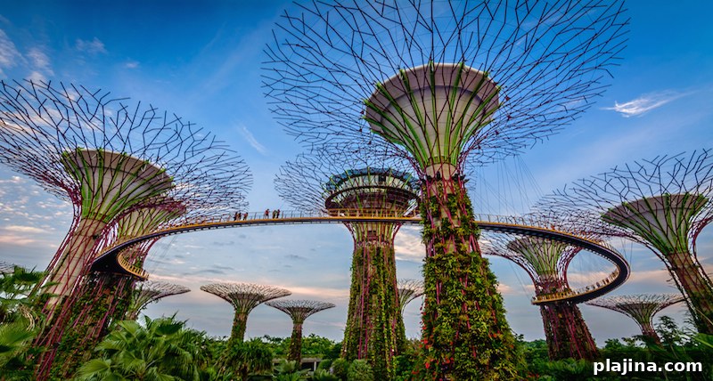 Gardens by the Bay