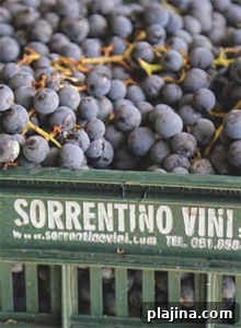 Grapes at Sorrentino Vini 