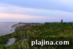 img 78766 10