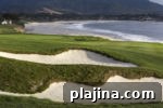 img 78766 11