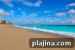 img 78766 13