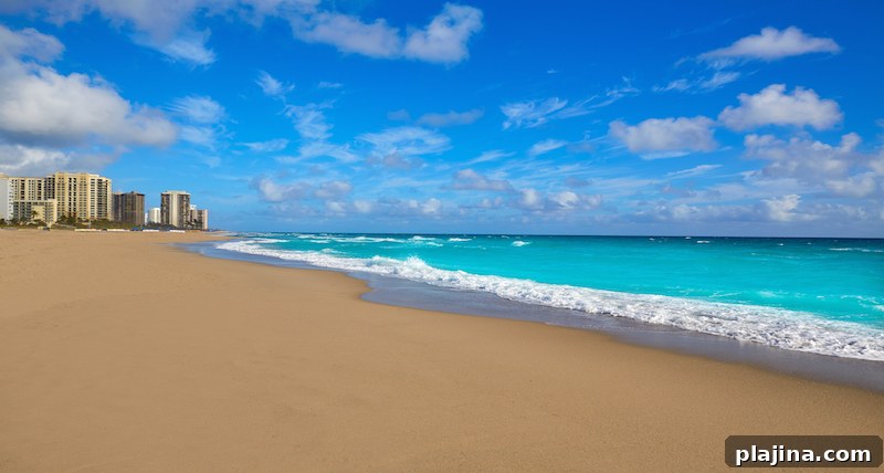 Singer Island