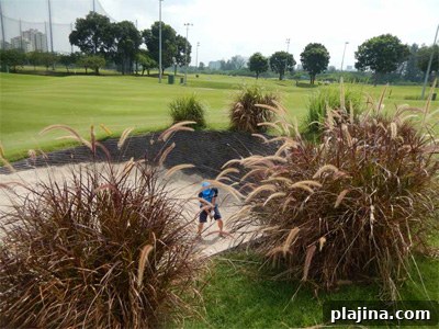 Sei in one of the pot bunkers on the first hole PHOTO: © FRANCIS X. GALLAGHER