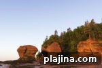 img 79063 11