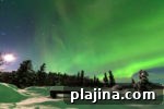 img 79063 13