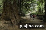 img 79063 14