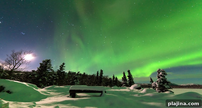 Northern Lights