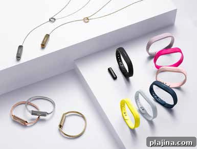 © FITBIT
