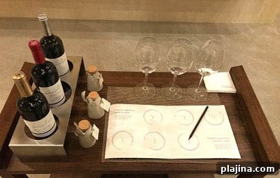 Wine experience at LeDomaine Spa