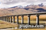 img 79409 12