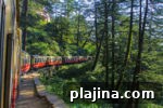 img 79409 13